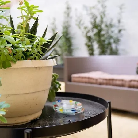 Apartment Domus Pietra In The Heart Of